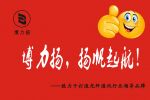 【展會(huì)快訊】博力揚(yáng)成都國(guó)際安防展誠(chéng)邀您的到來(lái)！